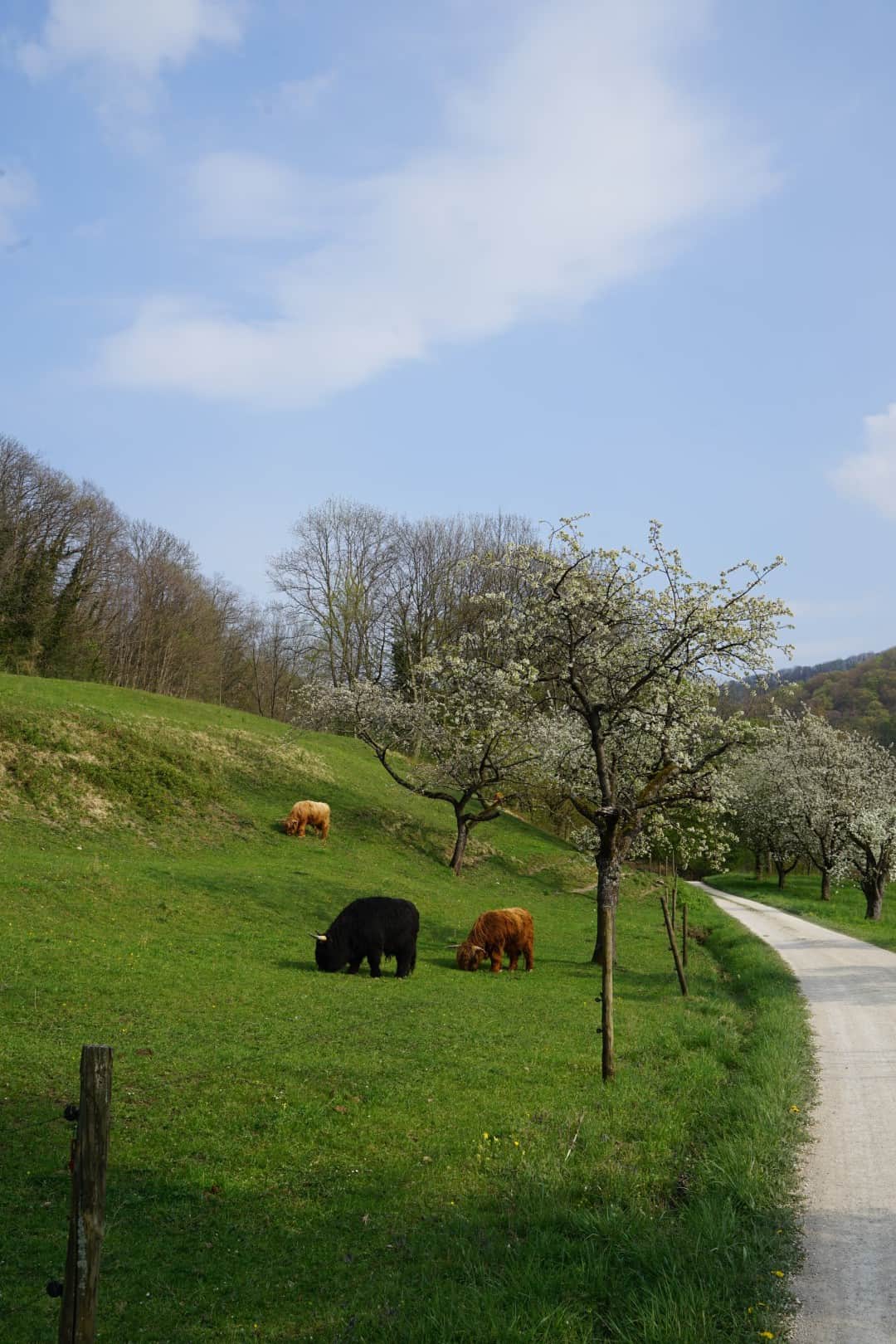 Arrangement auf der Schwäbischen Alb